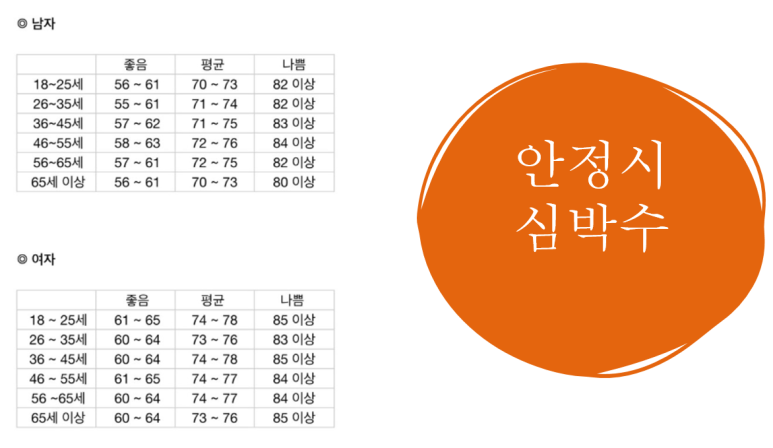 스파인랩 이미지