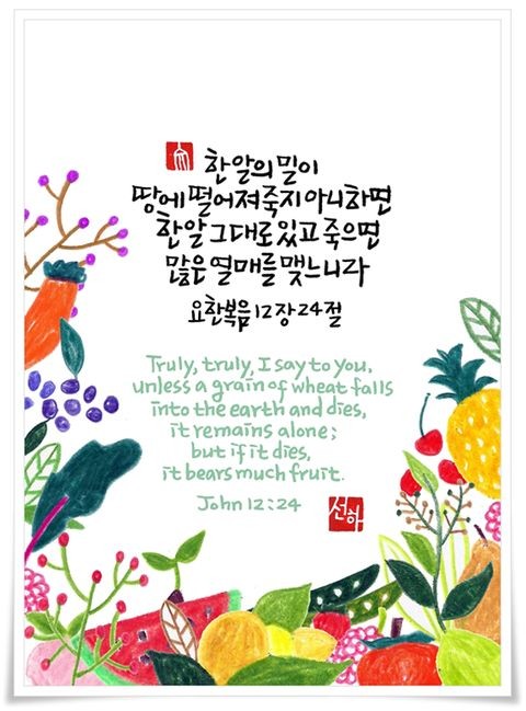 성경그릇 이미지