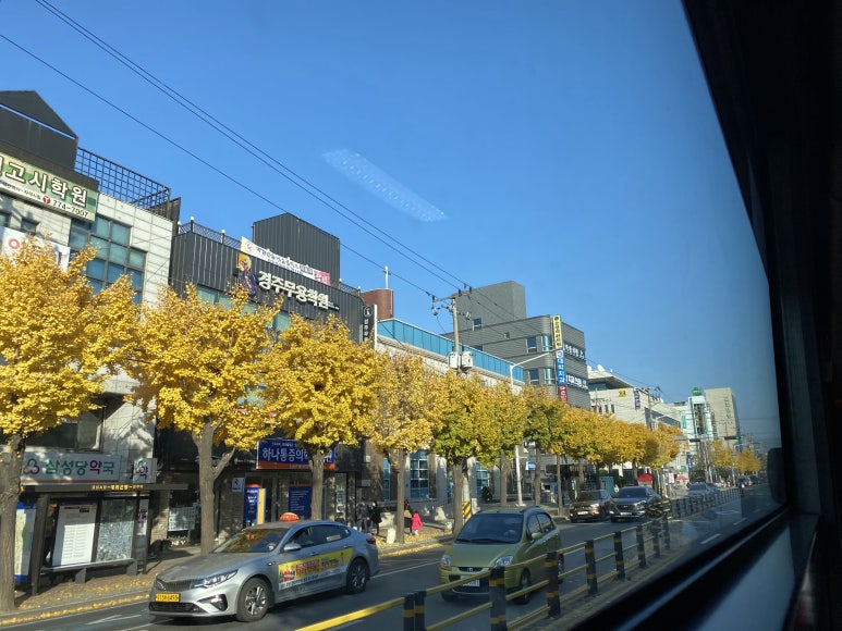 고봉민김밥경주보문점 이미지