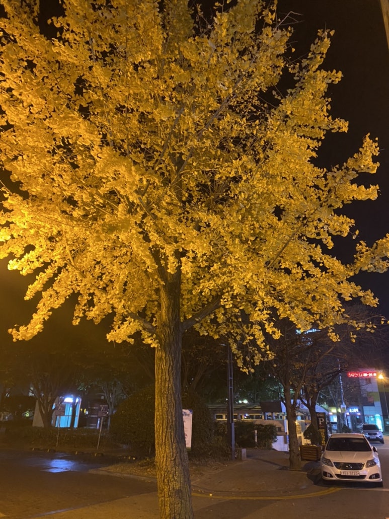 비에이치씨해남점 이미지