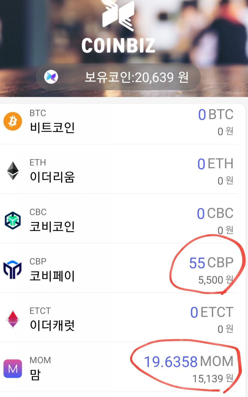 비즈코비 이미지