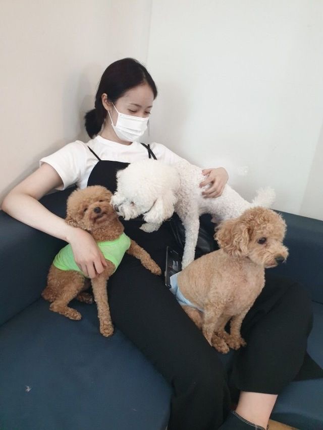 마고 이미지