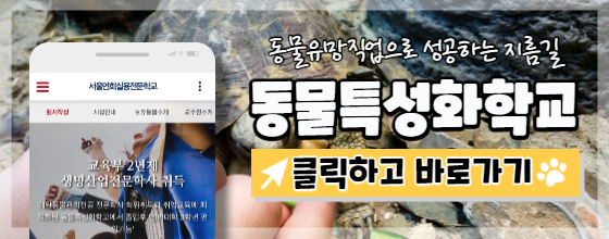 복어학교 이미지