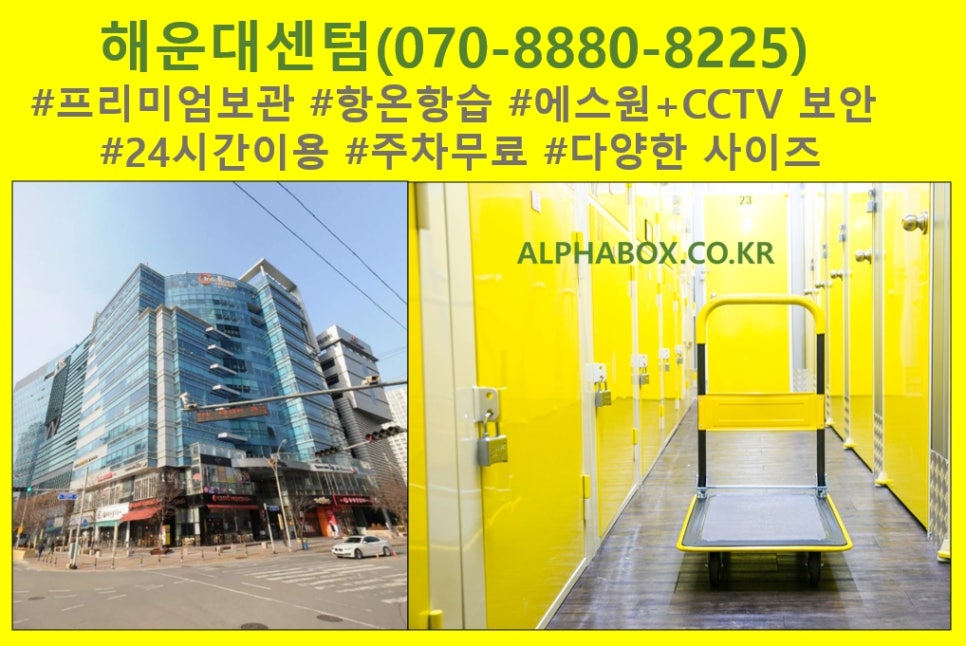알파짐 이미지