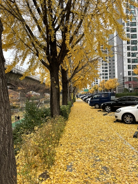 삼봉옛날통닭 이미지