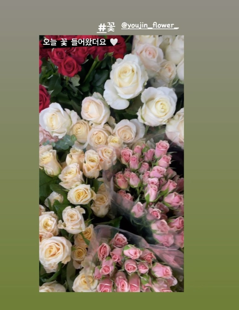 유진화원 이미지