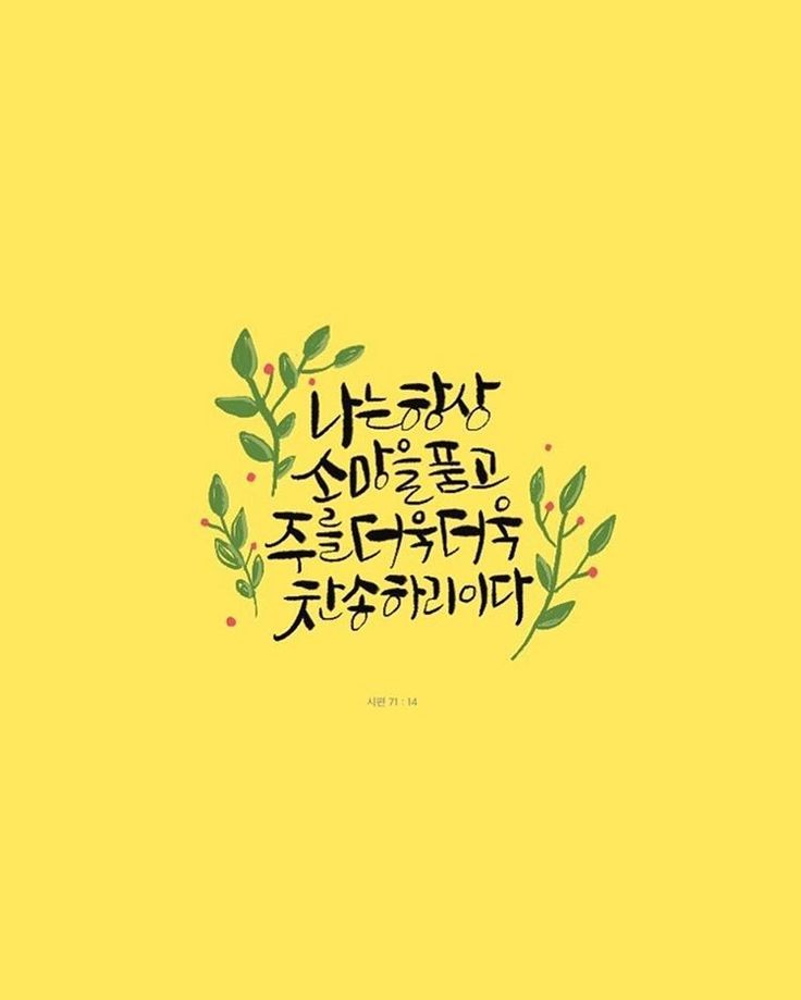 성경그릇 이미지