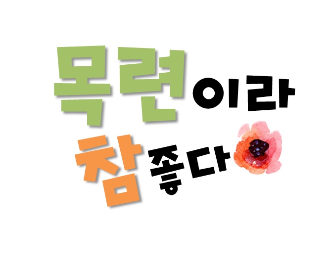 목련어린이집 이미지