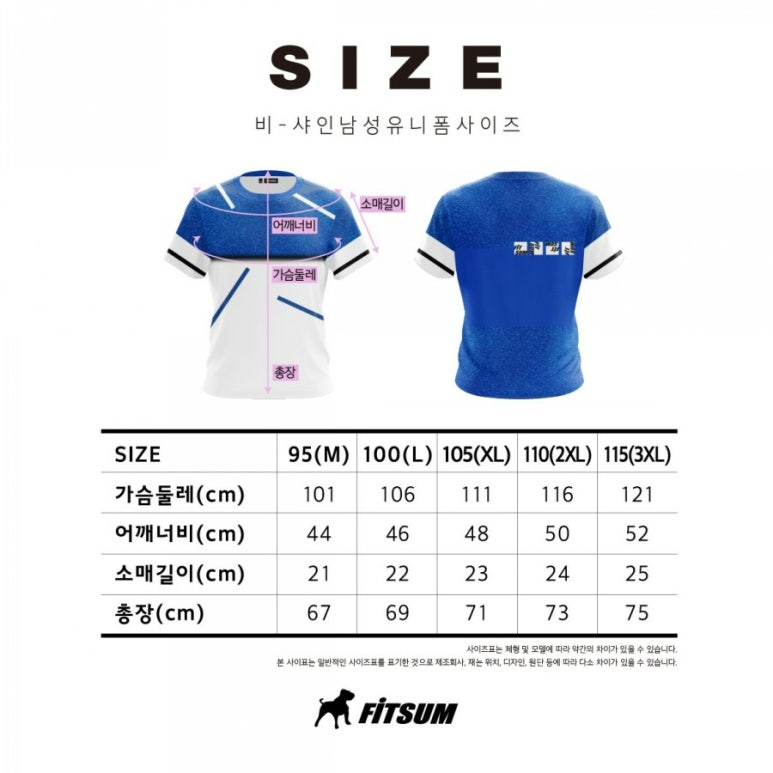 비샤인 이미지