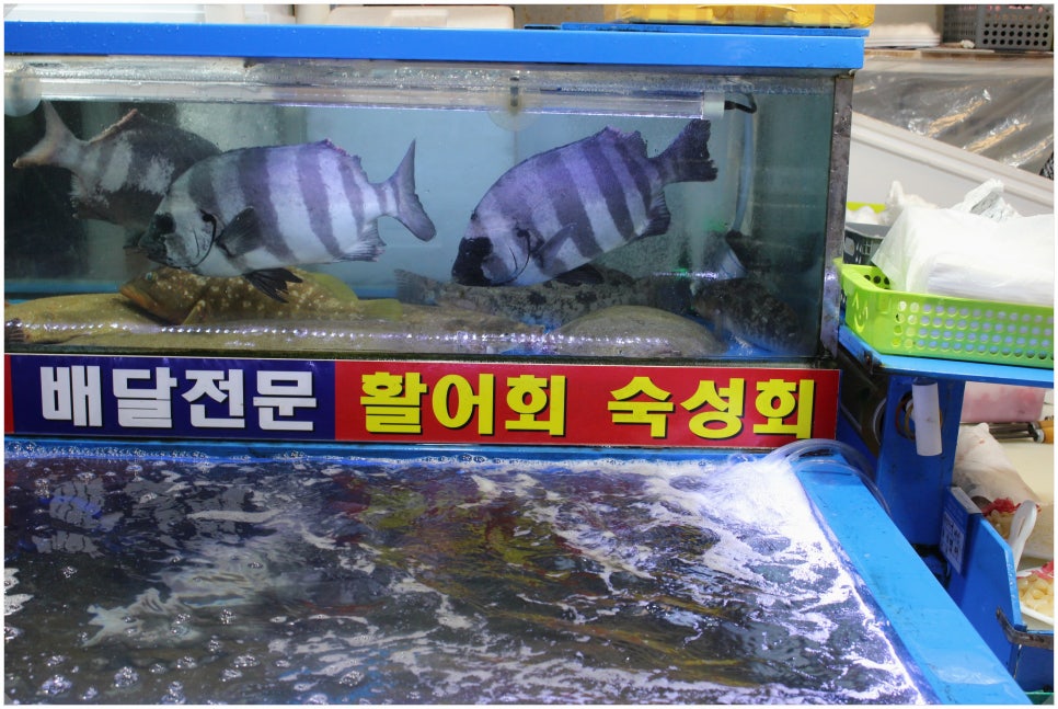 경북상회 이미지