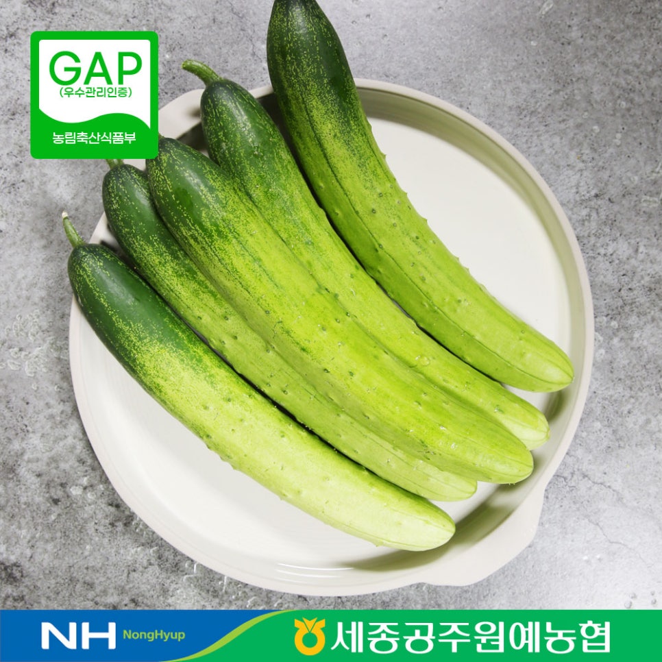 아삭아삭청과유통 이미지