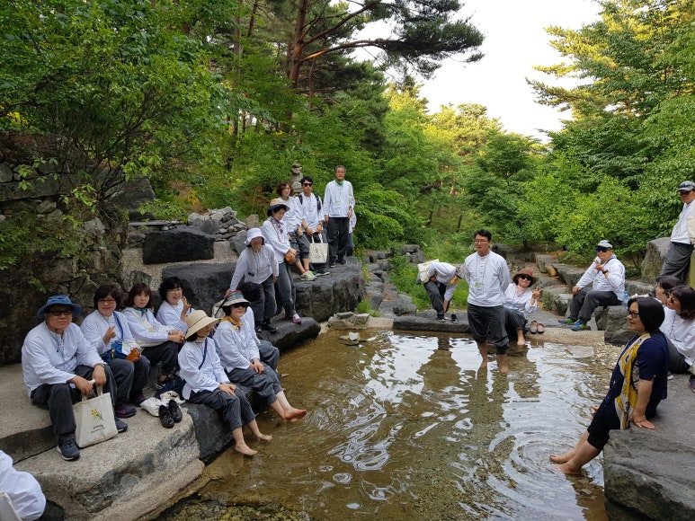 힐링숲협동조합 이미지