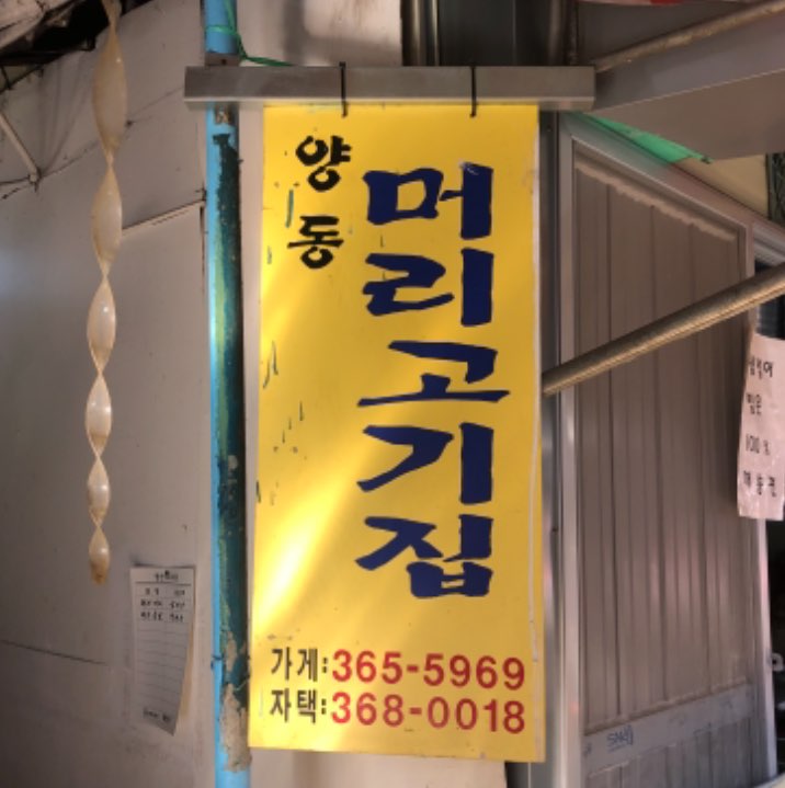양동머리고기 이미지