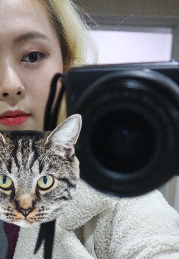 뷰티황후 이미지