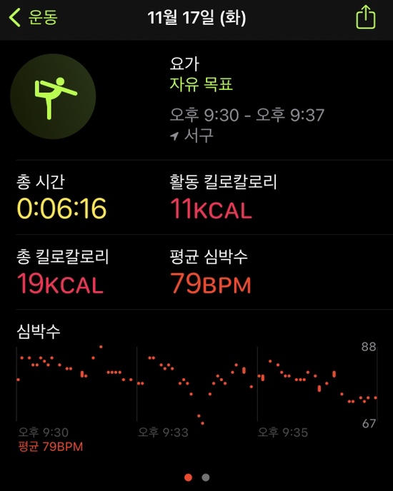 티그레 이미지