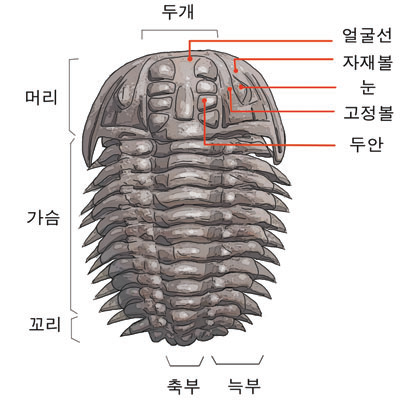 계양컴퓨터학원 이미지