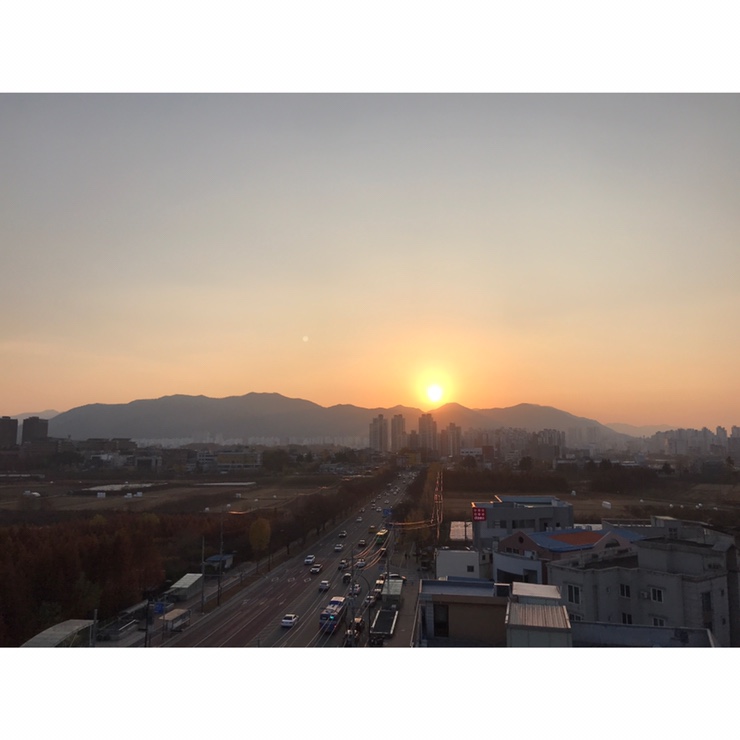 플라플로 이미지