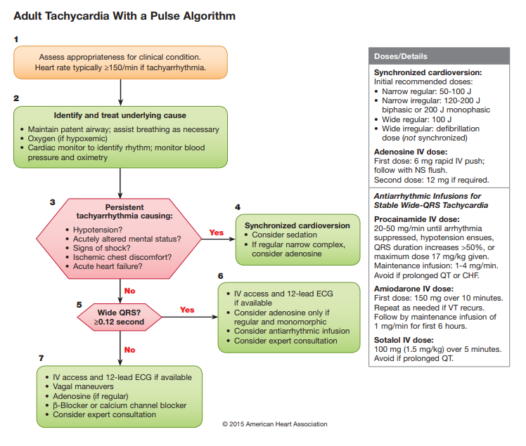 [ACLS(Advanced Cardiovascular Life Support)75]TachyCardia Algorithm