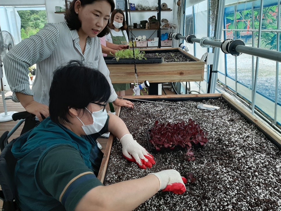 미륵산늘품치유농장 이미지