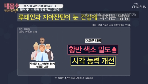 메리골드그룹 이미지