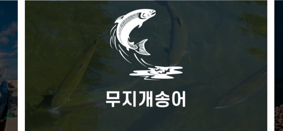털보의류 이미지