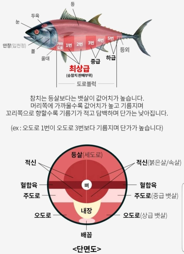봉참치 이미지