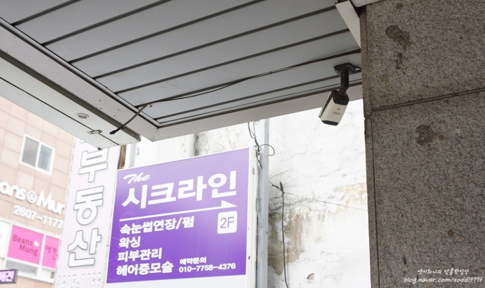 더시크라인 이미지