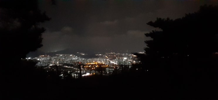 비메이저 이미지