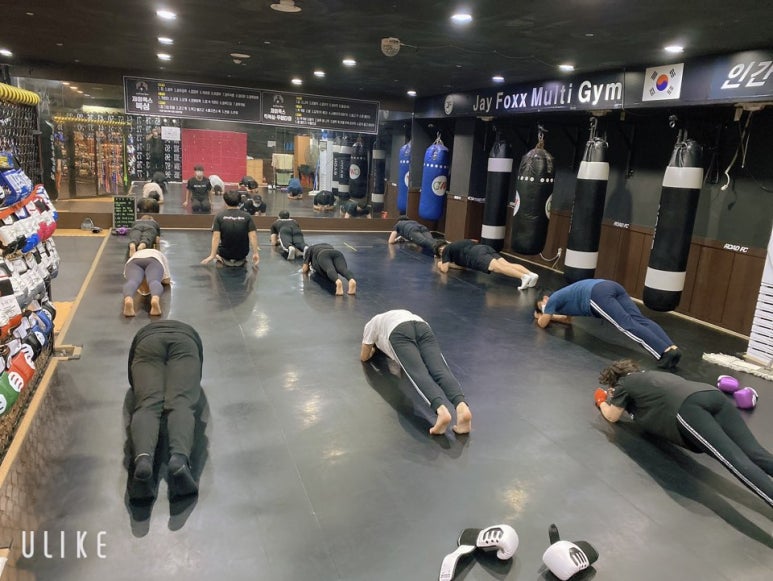 제이멀티짐피티엔주짓수 이미지