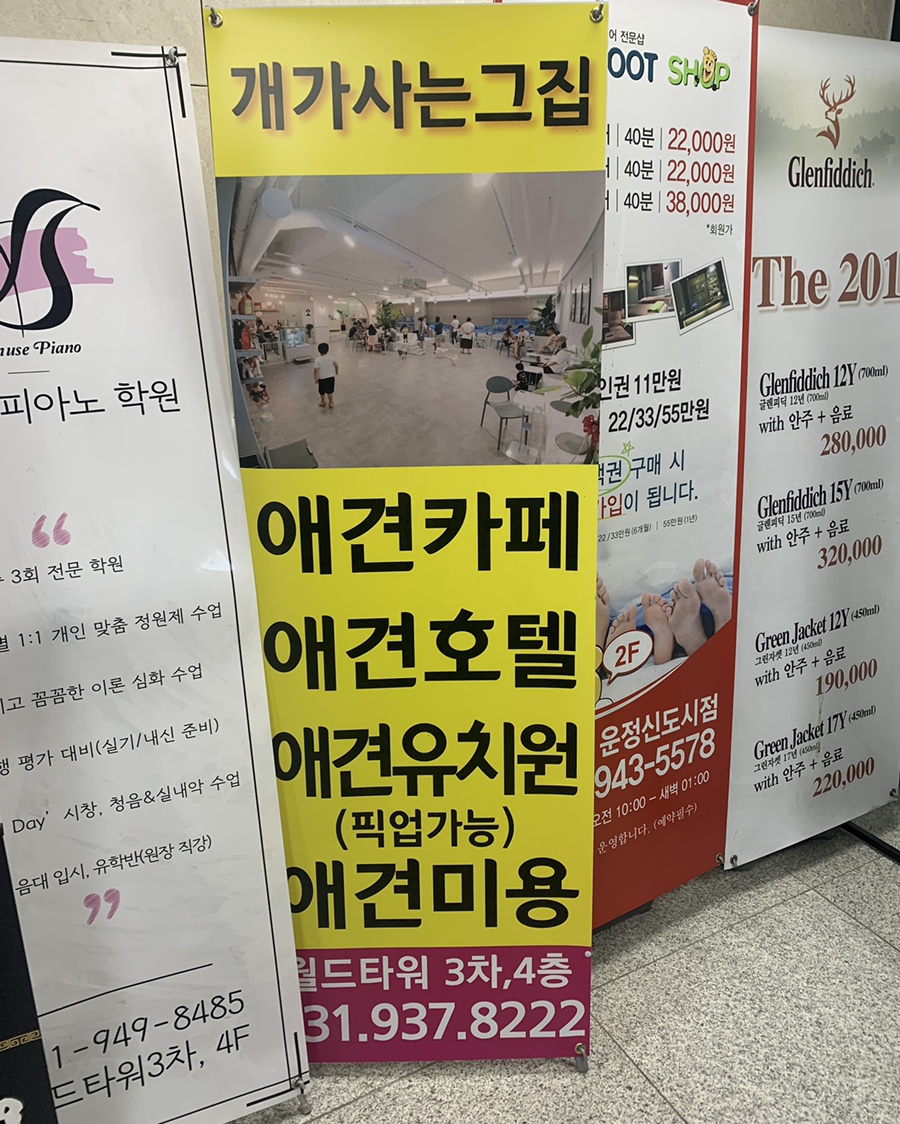 개가 사는 그집 이미지