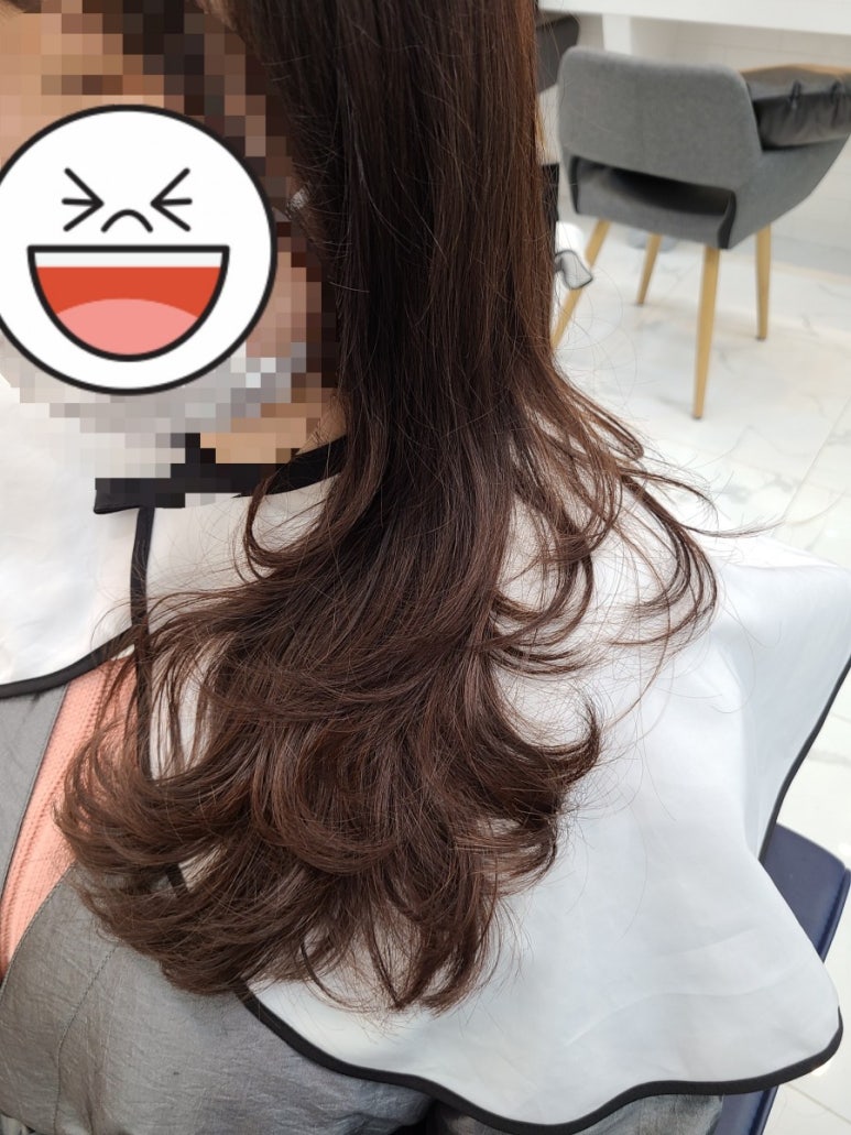 제르비안 이미지