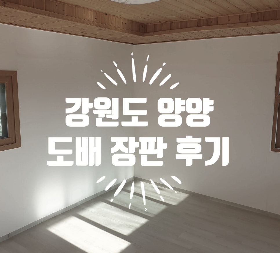 평화지물포 이미지