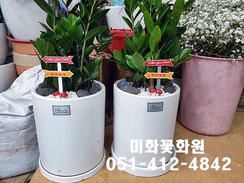 미화화원 이미지