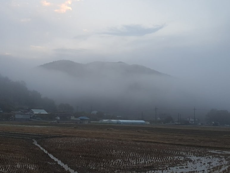 법인행복한농원 이미지