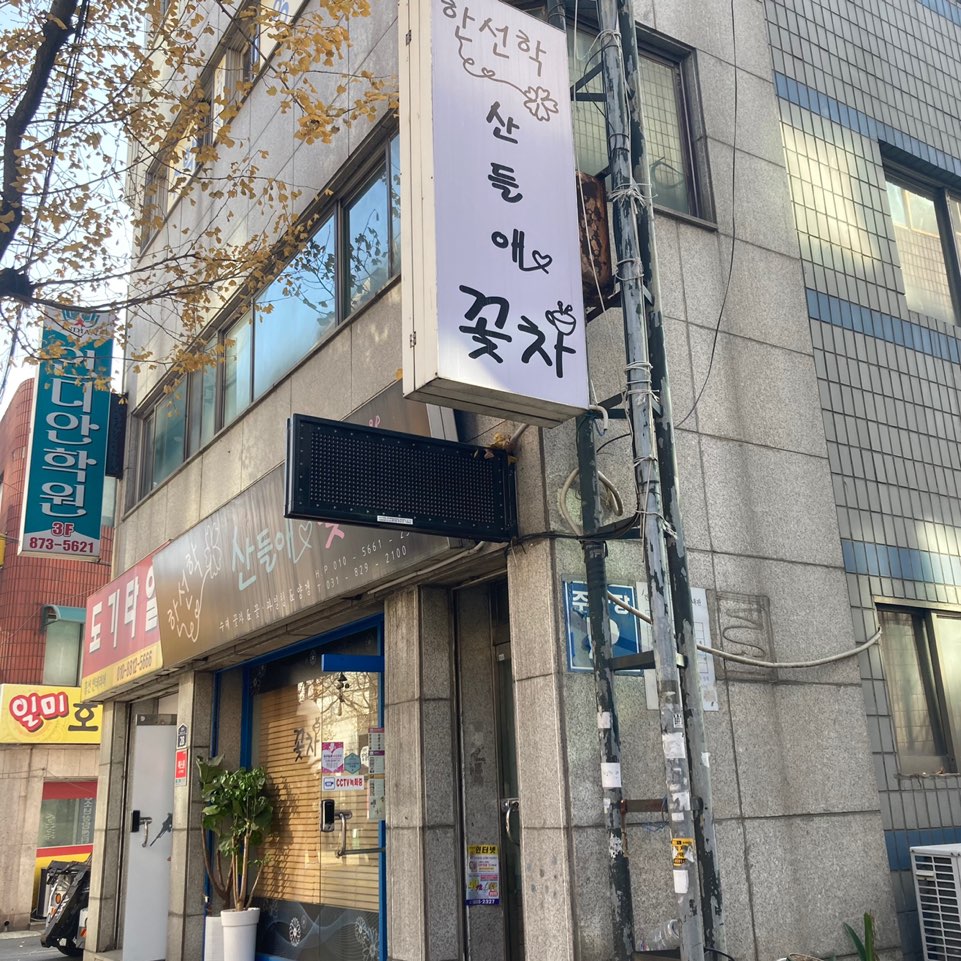 한선학 산들애 꽃차 이미지