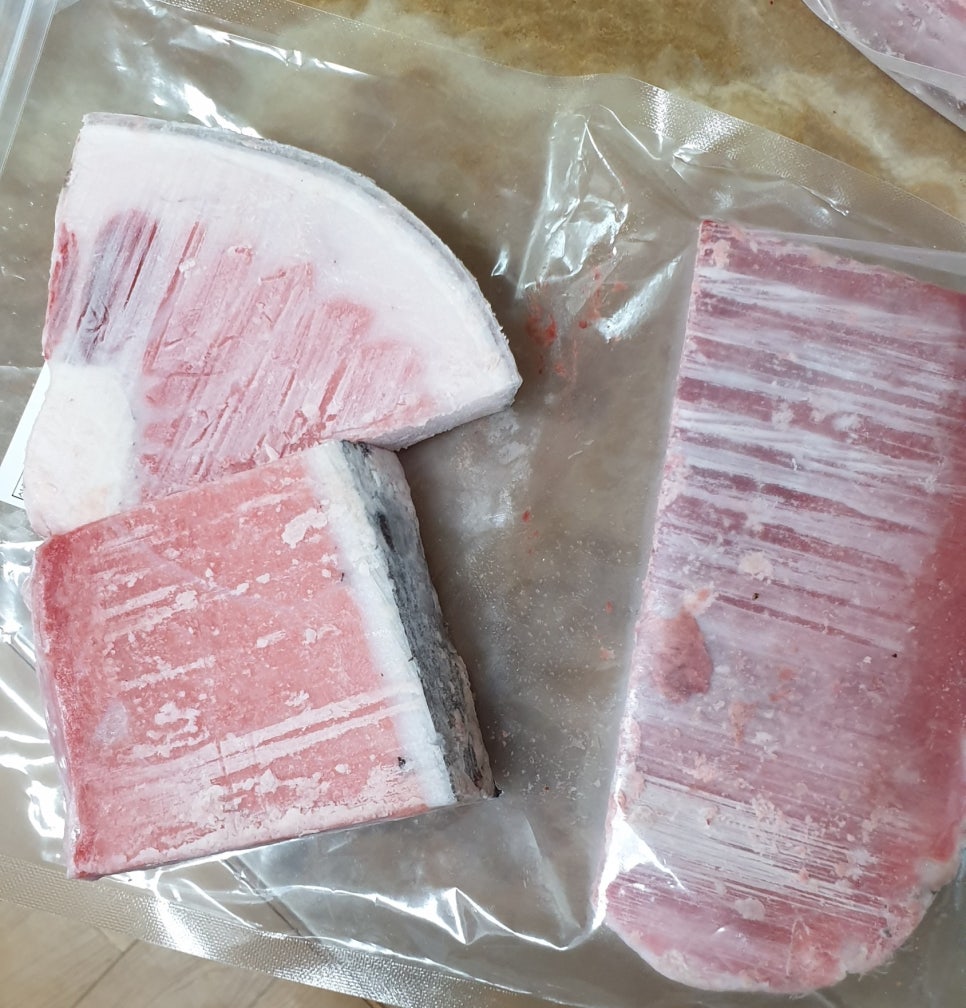 80상참치 이미지