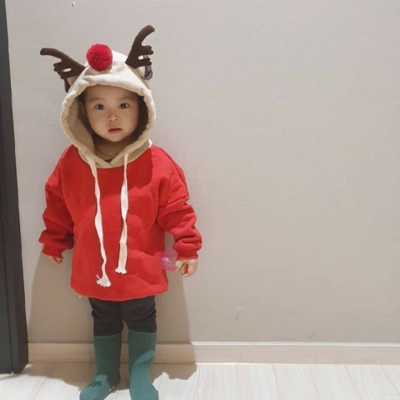 루돌프시스템 이미지