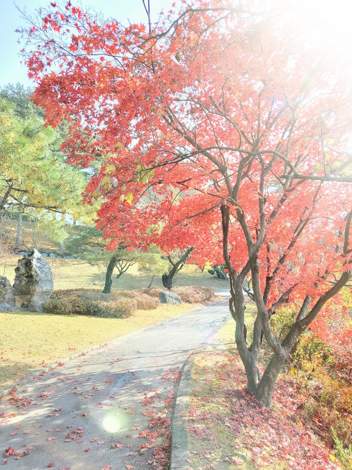 분당본내과의원 이미지