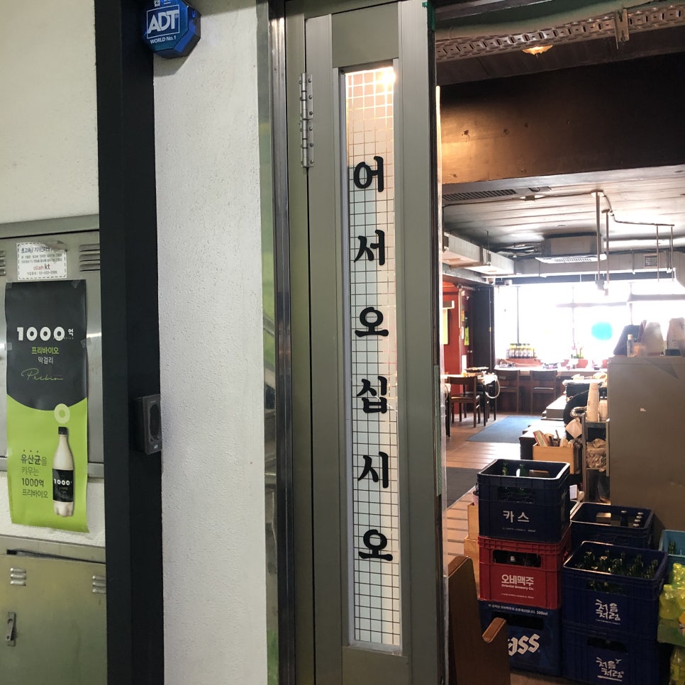 영스타서래 이미지