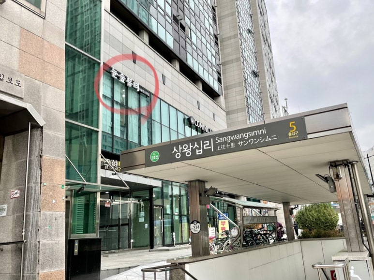 눈숲 이미지