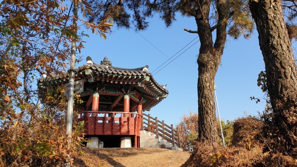 말미산정상 이미지