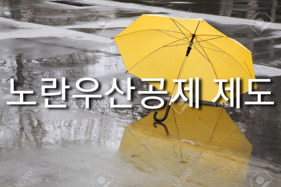 정연세무회계 이미지