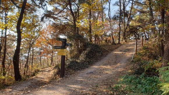 말미산정상 이미지