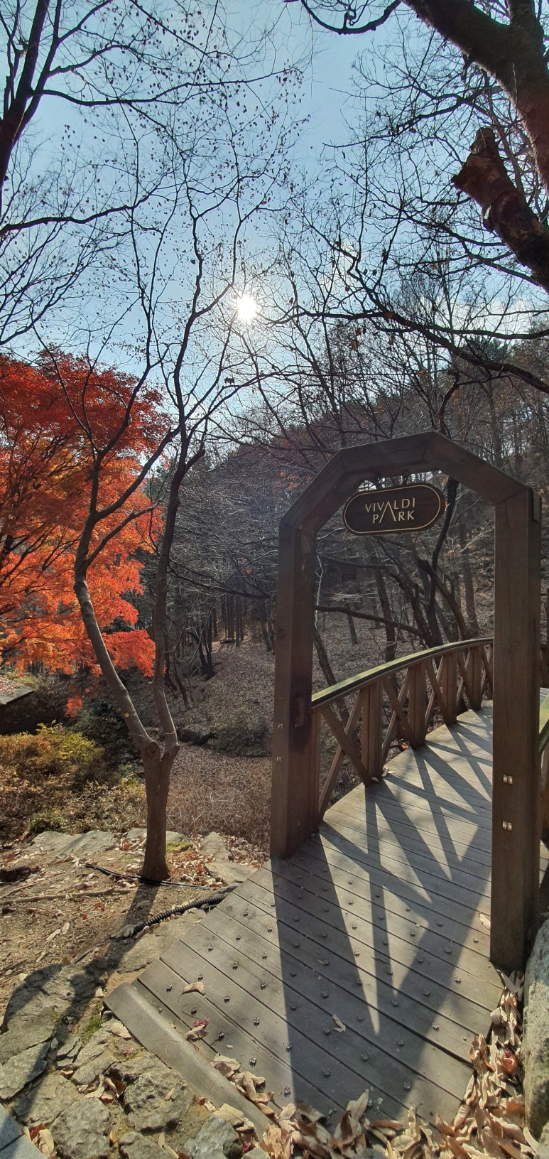 두릉산자연휴양림 이미지