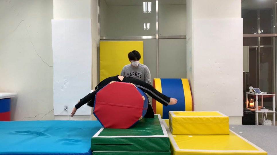 드래곤트릭킹짐 이미지