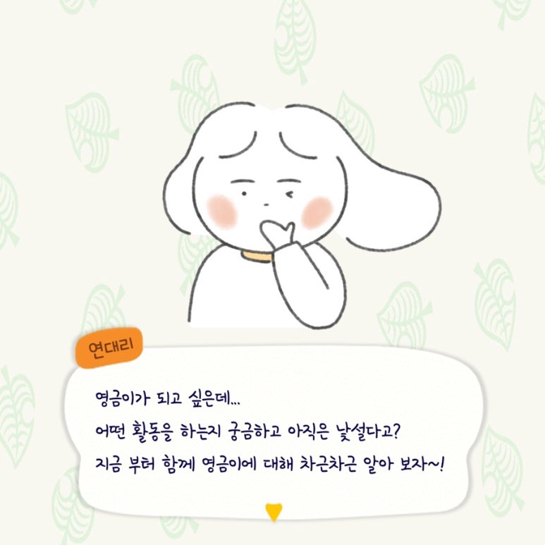 영금 이미지