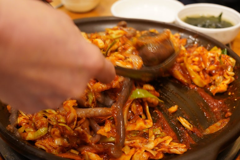 낙지의꿈 이미지