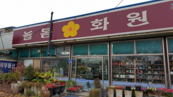 늘봄화원 이미지