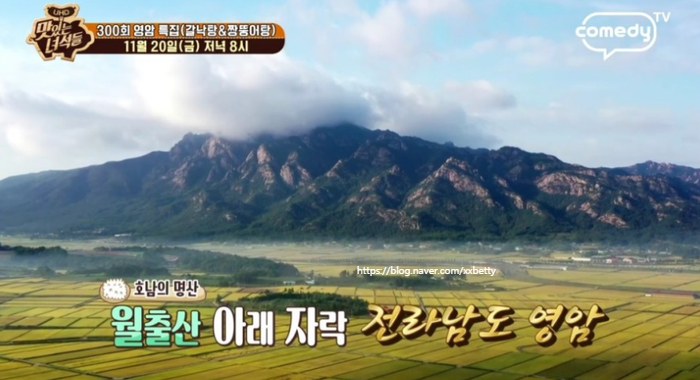 영암통닭 이미지