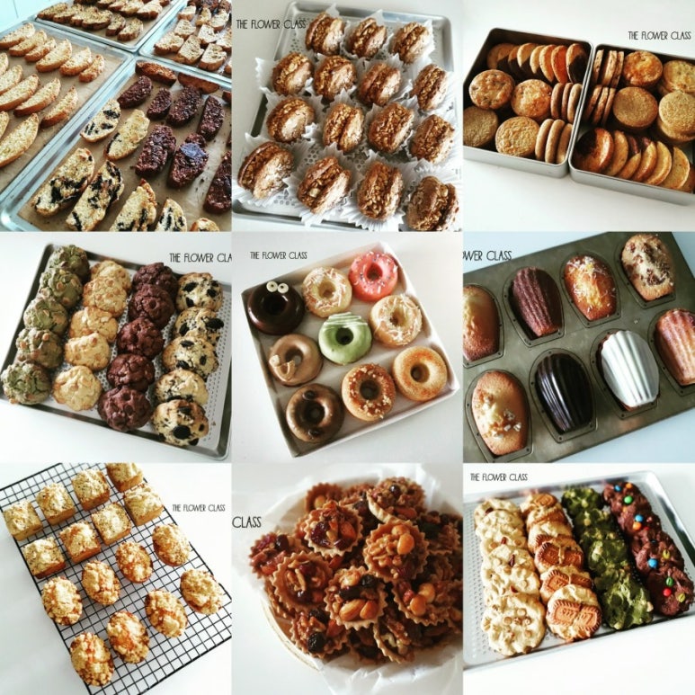 다미baking 이미지